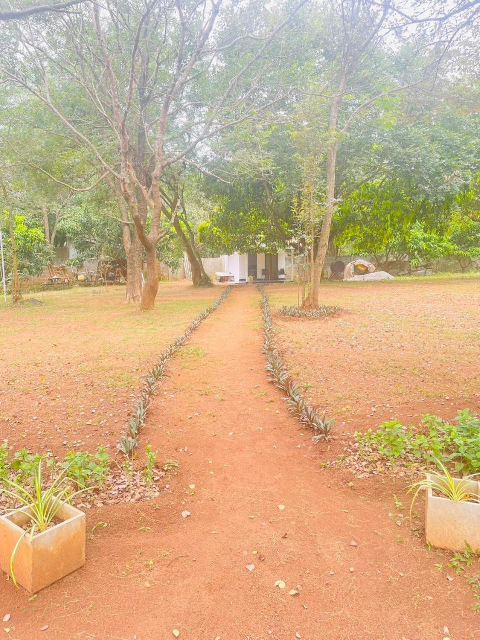 Ima Villa Sigiriya Exterior photo