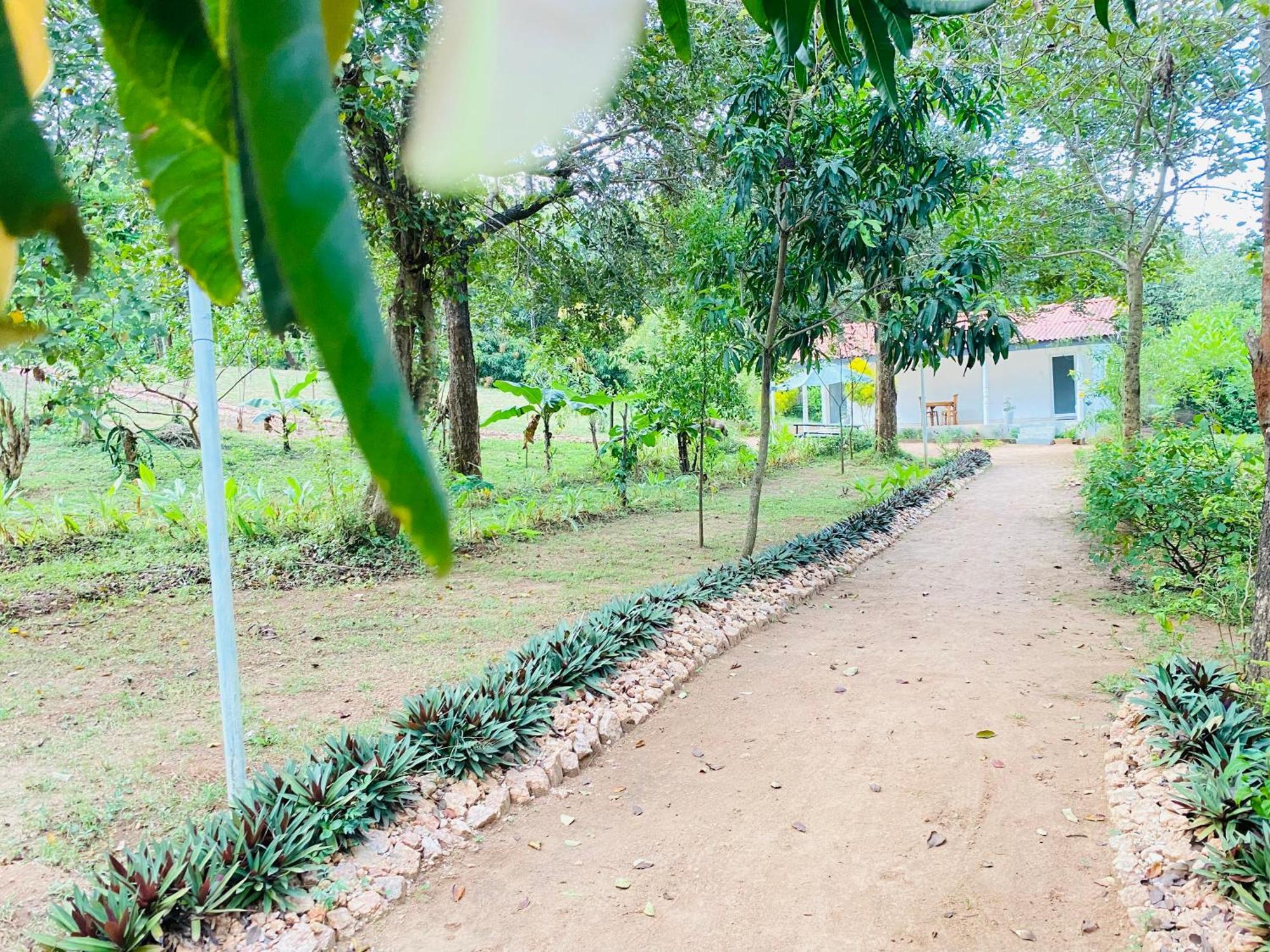 Ima Villa Sigiriya Exterior photo